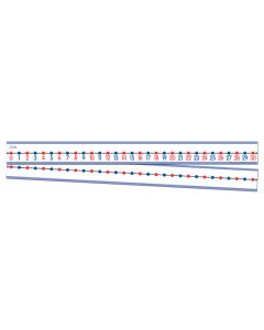 TFC-NUMBER LINE STUDENT 30P-TFC-15921