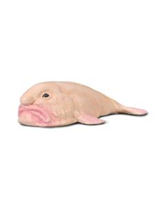 COLLECTA SEA LIFE SML BLOBFISH-COL-80037