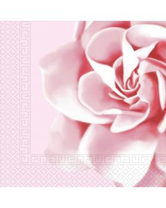 NAPKINS 3 PLY 33X33 PINK ROSE 20CT-PRO-93595