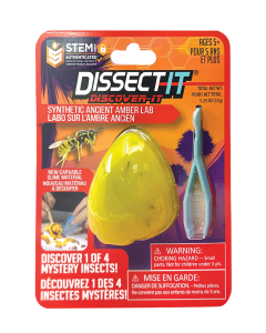 DISSECT-IT DISCOVERY LINE MYSTERY INSECTS-JKR-38088